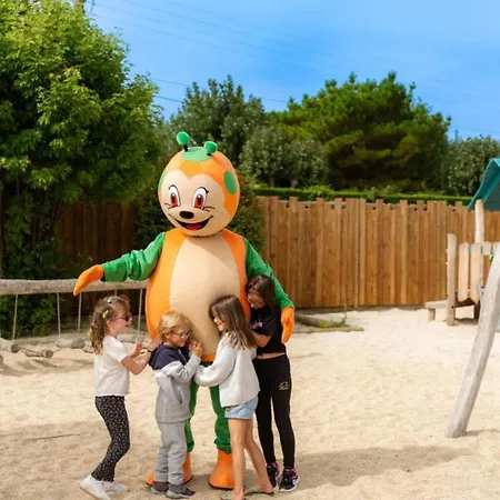 Mobil A Avec Terrasse - Api-1-52-1099 *